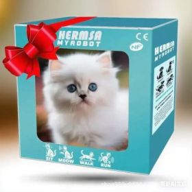 Robot Puppy Short Plush Doll (Option: Cat White-16cm Color Box Package)